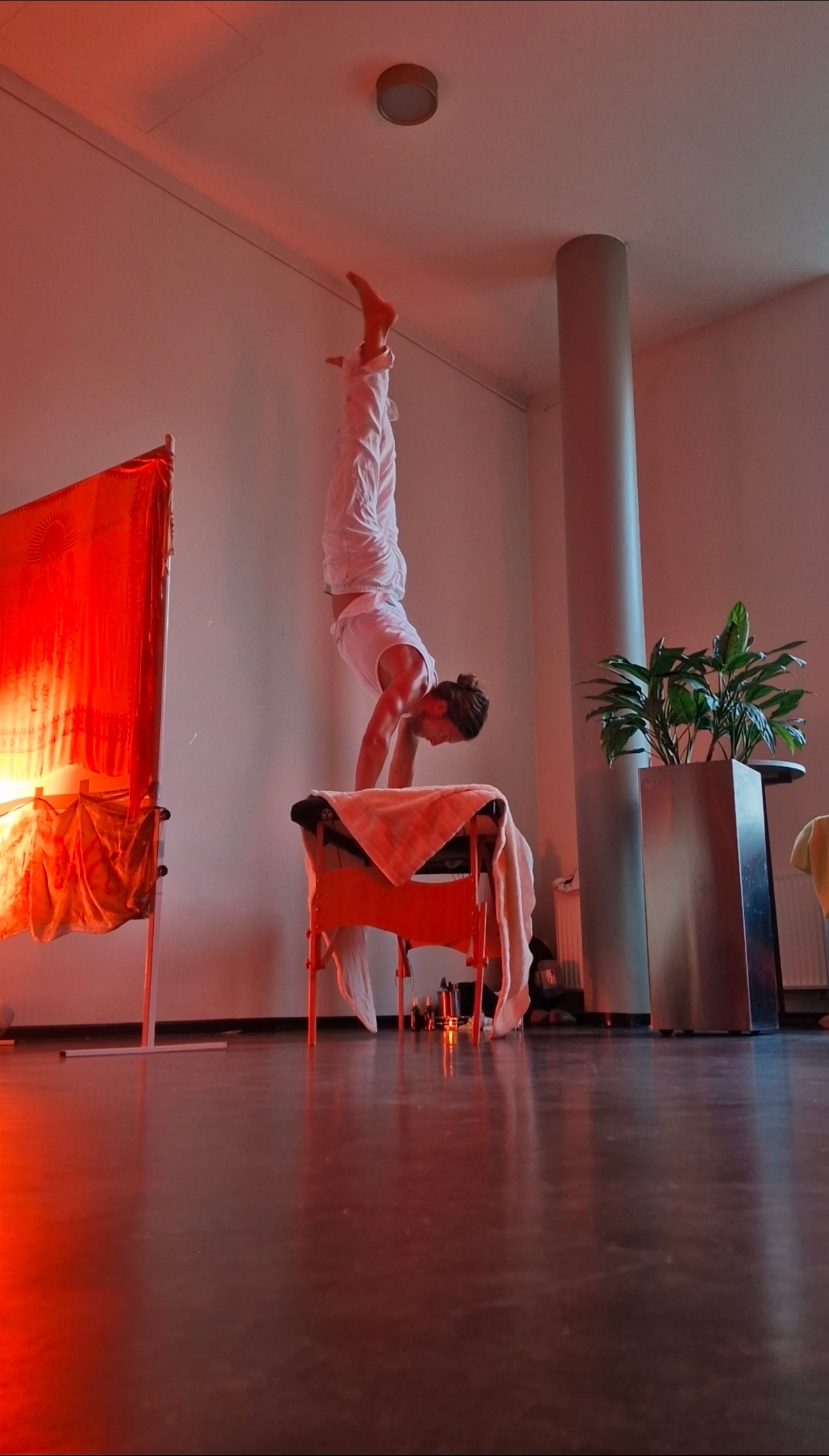 CoBoMo Wellness 7